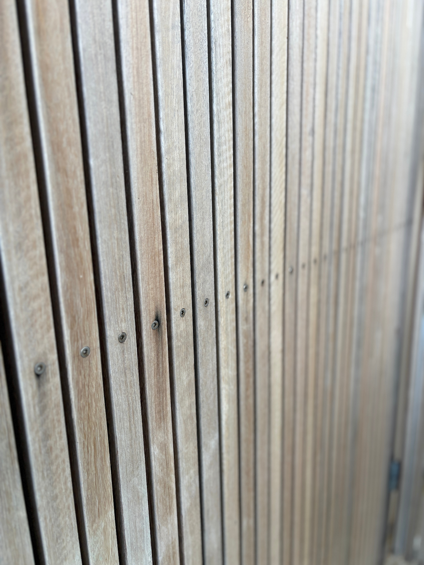 Detail of vertical timber screening with exposed fixings